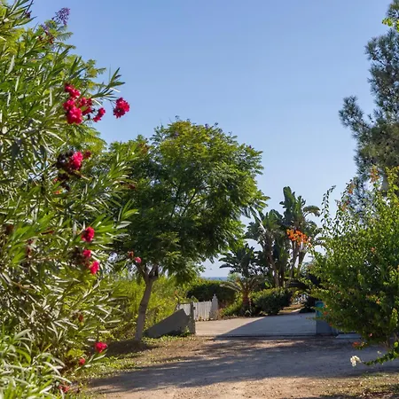 Ayia Napa Sycamore Seaview Exterior photo